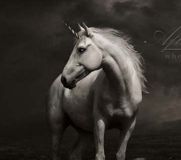 催收短信电话轰炸机